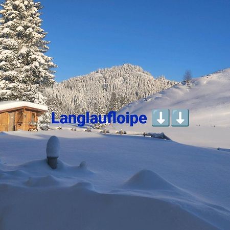 Haus Jessica Incl National Park Sommercard Миттерзилль Экстерьер фото
