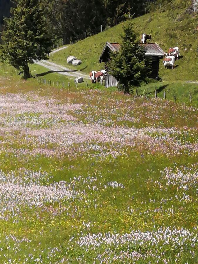 Haus Jessica Incl National Park Sommercard Миттерзилль Экстерьер фото