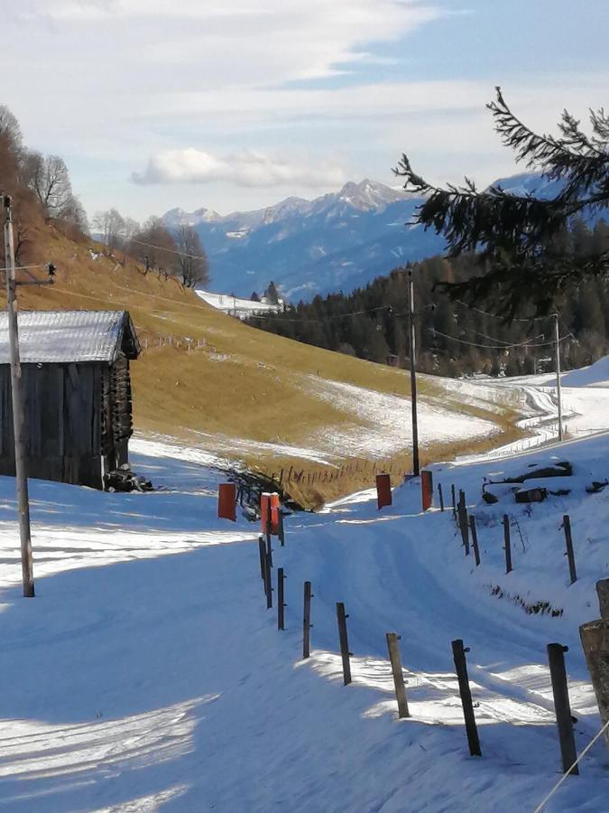 Haus Jessica Incl National Park Sommercard Миттерзилль Экстерьер фото