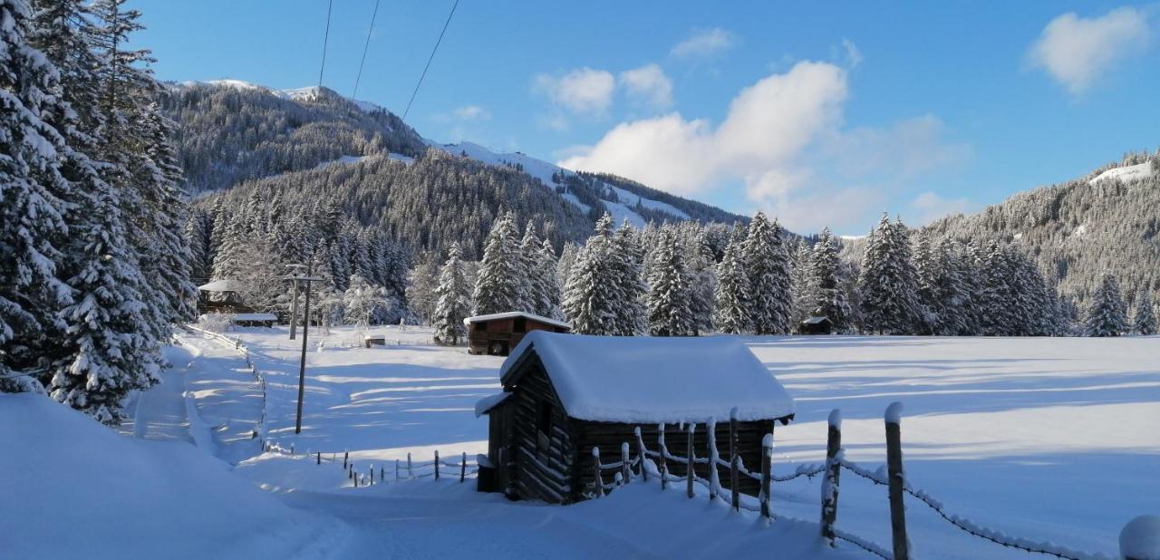 Haus Jessica Incl National Park Sommercard Миттерзилль Экстерьер фото